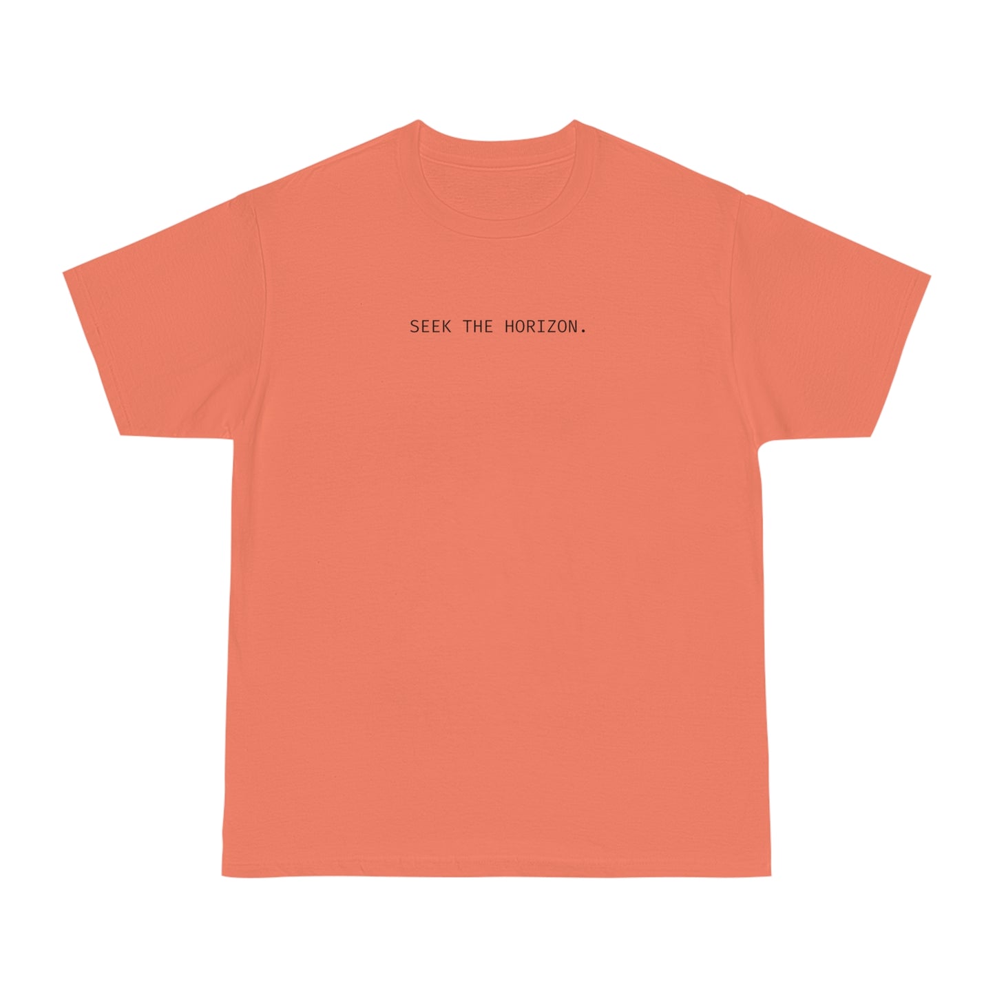 Seek the Horizon Unisex Fit Hammer™ Short-Sleeve Relaxed T-Shirt